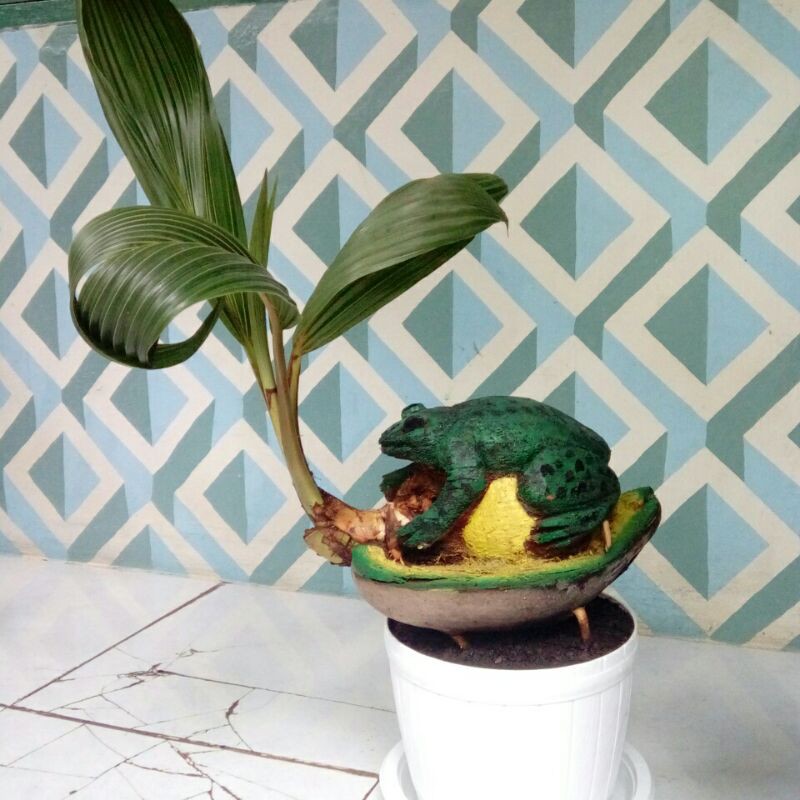 bonsai kelapa ukir