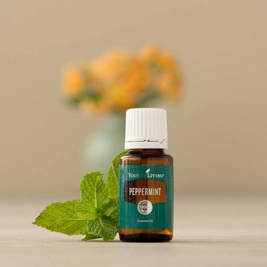 Peppermint Young Living Essential Oil 15Ml - Peppermint Yl 15Ml Yleo Tokonatun13331