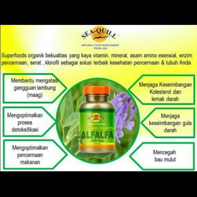 Sea-quill Alfalfa@50