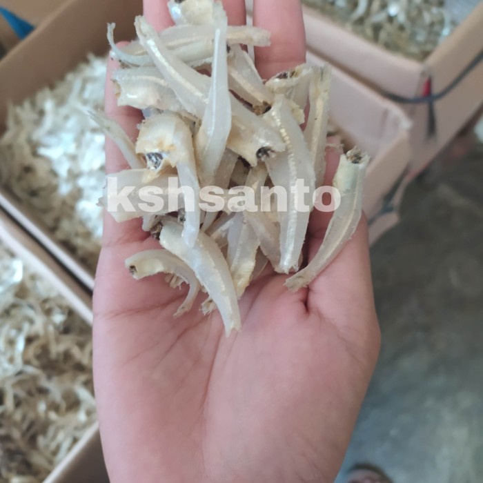 

Q0121Sa Ikan Asin Teri Jengky Daging-1Kg D5qs44