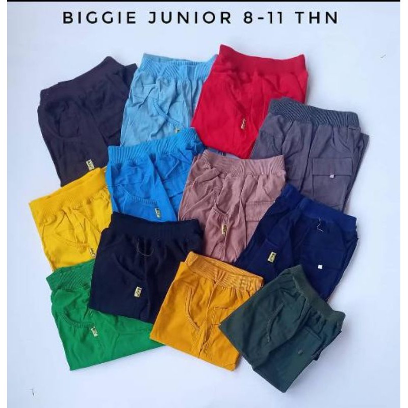 Celana Biggie Anak Size 10 12 Biggie Anak Junior Celana Anak Tanggung