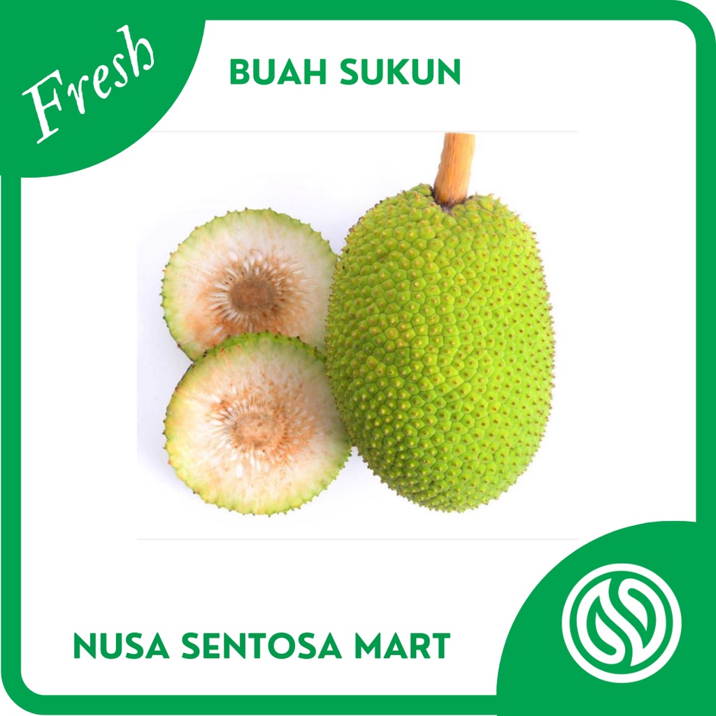 

Buah Sukun Segar – 1 Buah