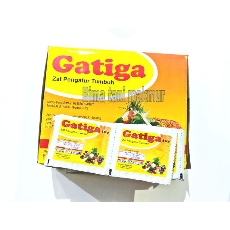 GATIGA ZAT PENGATUR TUMBUH PADA TANAMAN