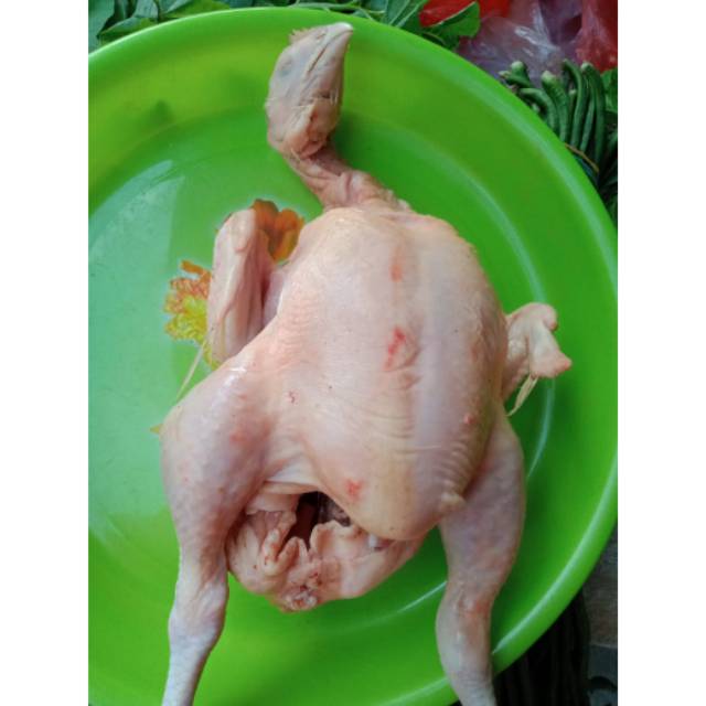 Ayam Segar Paha-paha Sayap-sayap