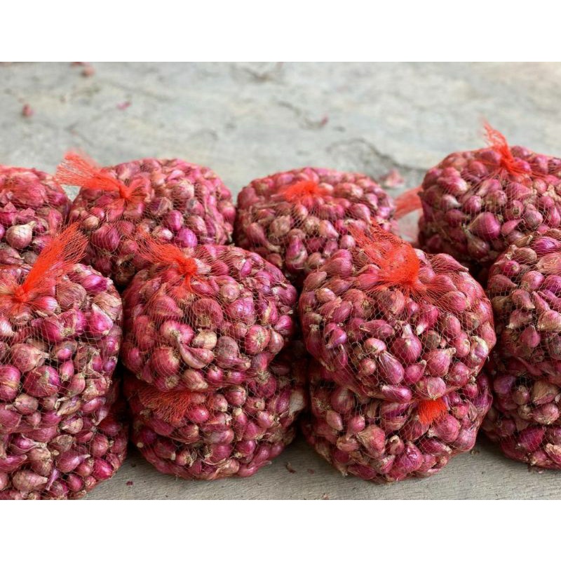 

Bawang Merah Brebes Murah