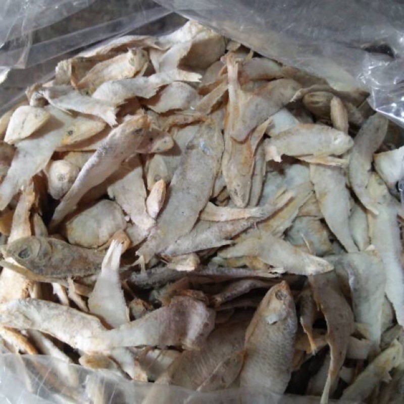 

IKAN ASIN / IKAN GERIH SIAP GORENG