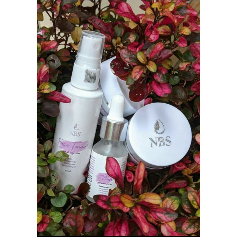 Paket NBS