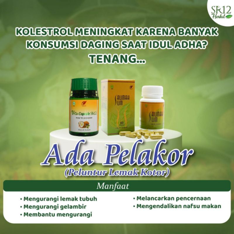 paket pelakor sr12
