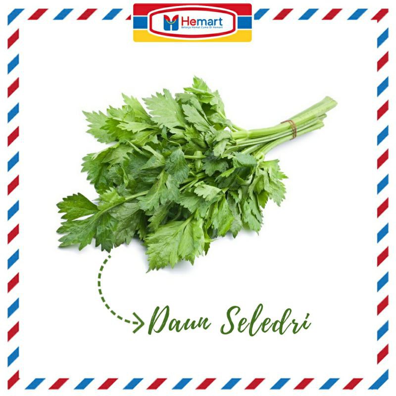 

FRESH BUNDA!!! DAUN SELEDRI PER IKAT / SAYUR SEGAR