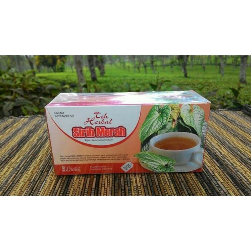 

obat herbal teh sirih merah original tazakka isi 20 kantong teh celup