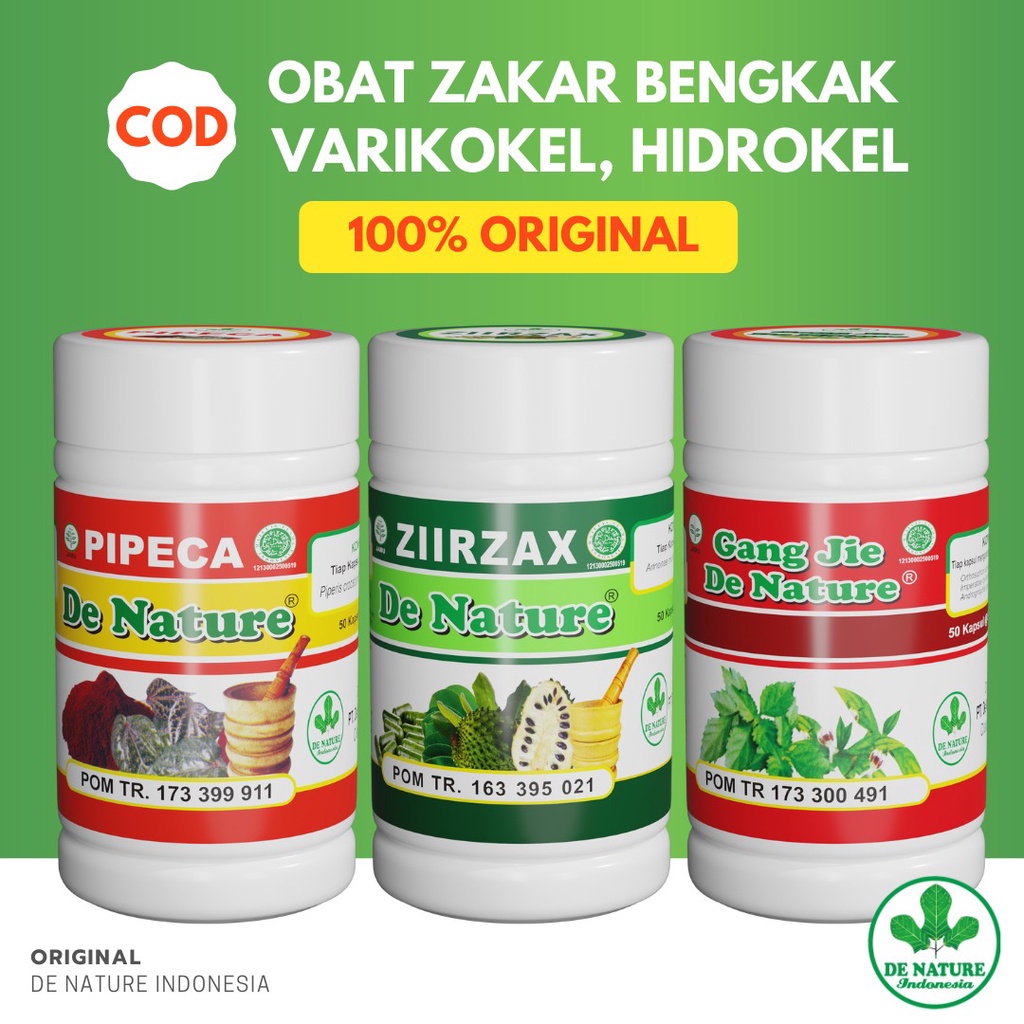 OBAT VARIKOKEL BUAH ZAKAR DE NATURE AMPUH