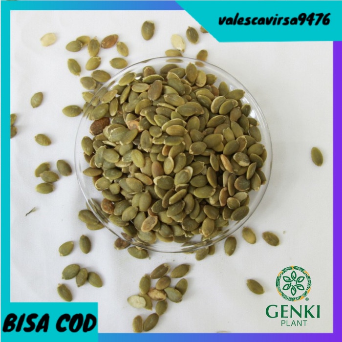 

⭐BISA COD⭐ Roasted Pumpkin Seed - 250 g