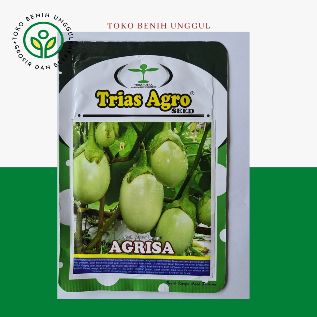 Benih bibit terong hijau unggul agrisa 10gr merk trias agro - bibit terong hijau super