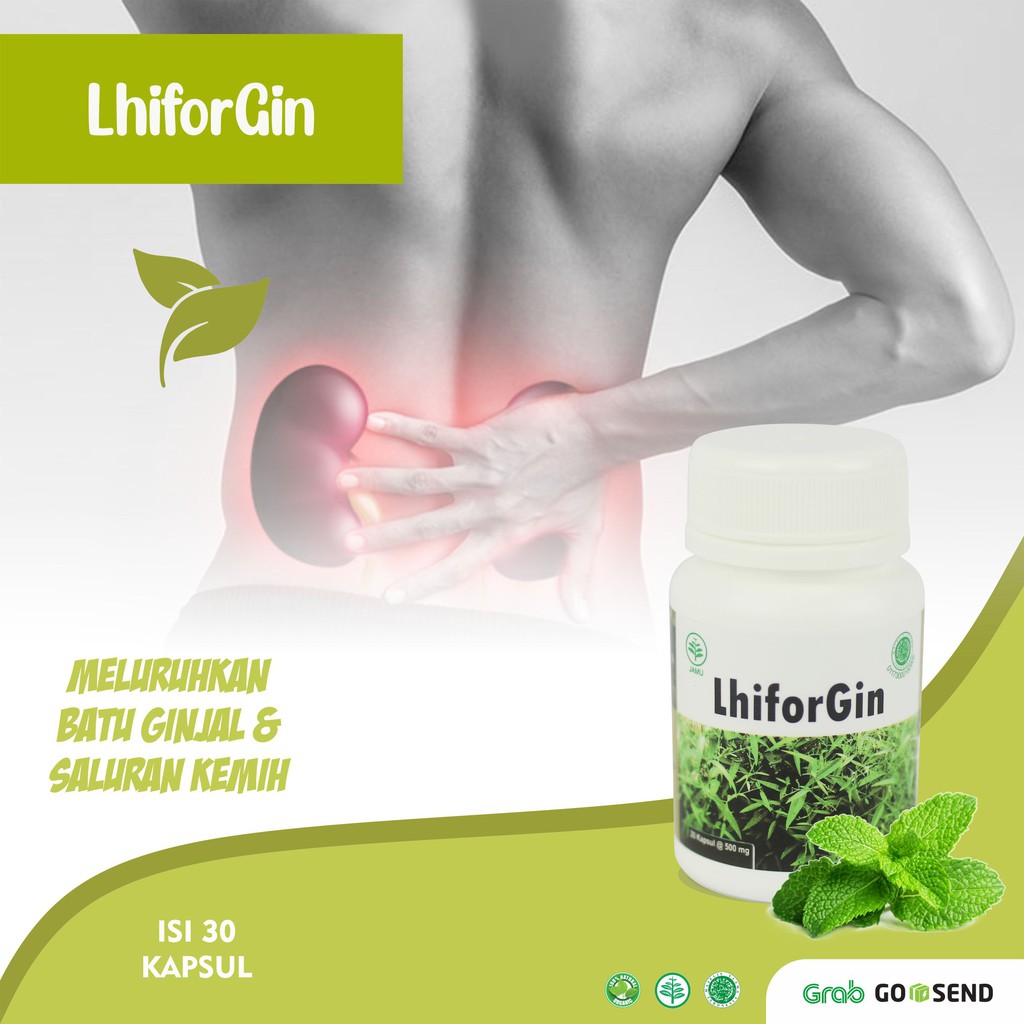 OBAT UNTUK GINJAL - LHIFORGIN OBAT ALAMI MELURUHKAN BATU GINJAL & SALURAN KEMIH AMPUH