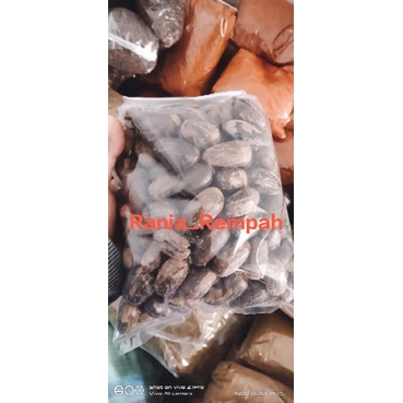 

[1KG] pala koclak/masih ada kulitnya