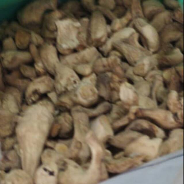 

Kaki Jamur / mushroom / dried / payung