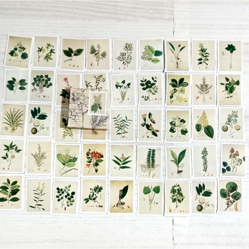 

45Pcs Stiker Motif Tanaman untuk Scrapbook / Jurnal / Diary