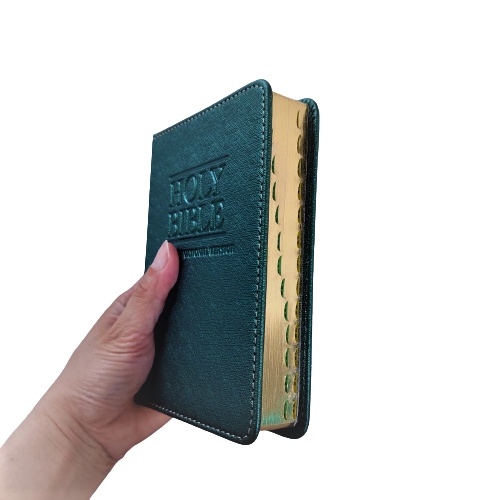 NIV Ukuran Kecil TB 034 Bible Compact New International Version LAI Bahasa Inggris