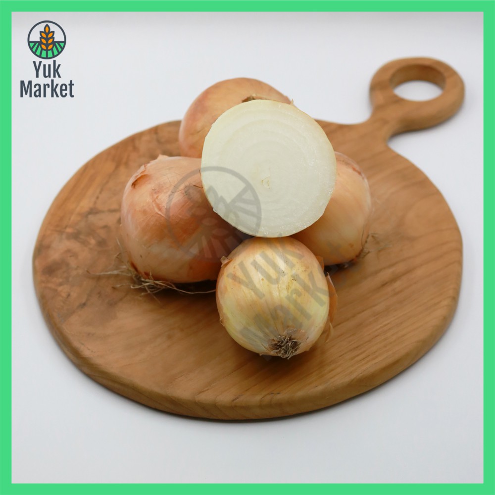 

Bawang Bombay Ekonomis 1 Karung 20KG