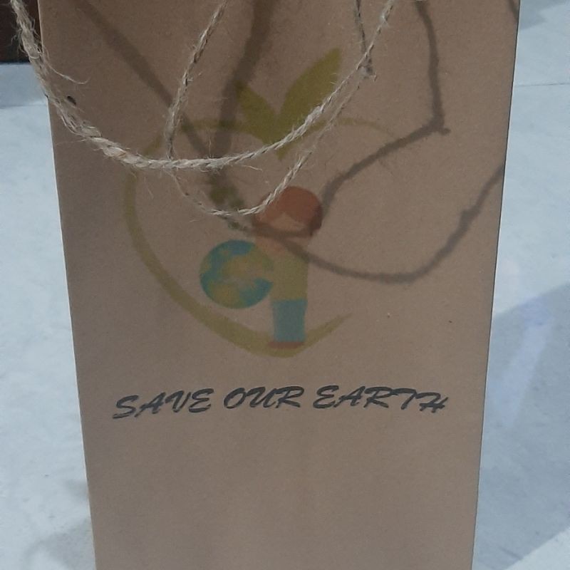 

paper bag goodie bag tas kraft kantong kertas motif isi 6 pcs