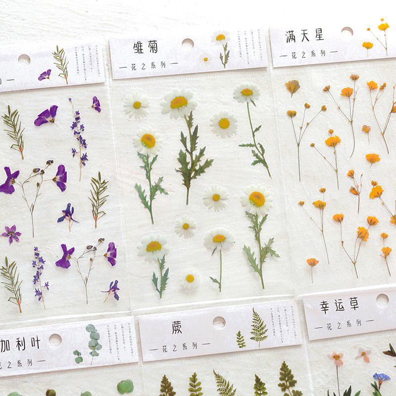 

baejoy.sticx || Stiker Bunga Transparan Daisy Vintage Stiker Motif Bunga Cantik untuk Scrapbook DIY