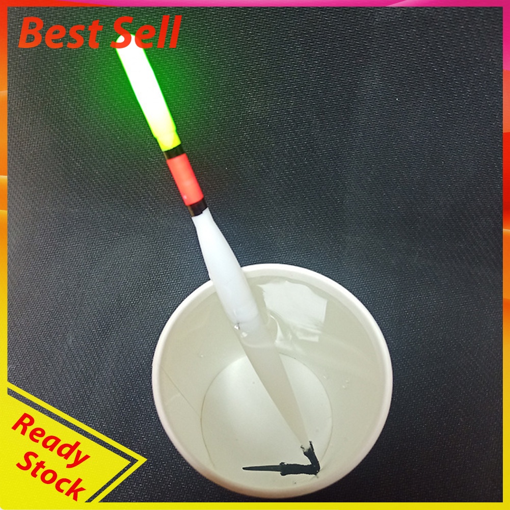 2pcs Fishing Float LED Electric Light Deep Water Luminous Bobber Tackles