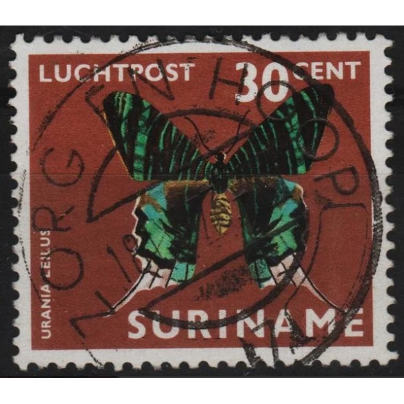 

Perangko Filateli A4-128 suriname VFU 1v 16.07.1972 Air mail - moths and butterflies