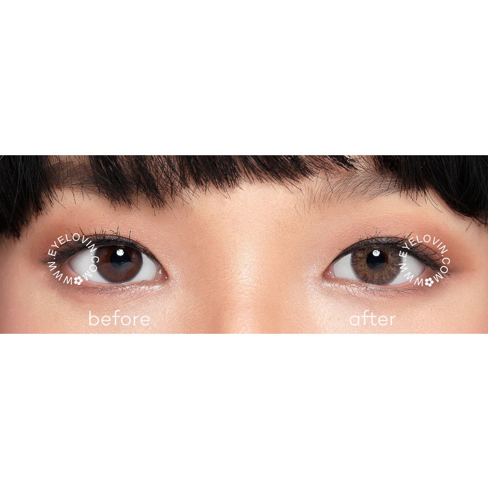 EYELOVIN Softlens EVAR - Belle Brown