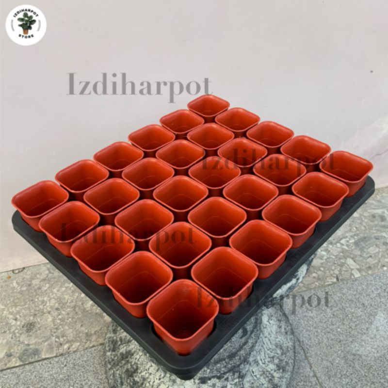 1 SET TRAY LUBANG 30 + POT NKT KOTAK 5CM MERAH BATA 30 PCS | TRAY SEMAI BIBIT