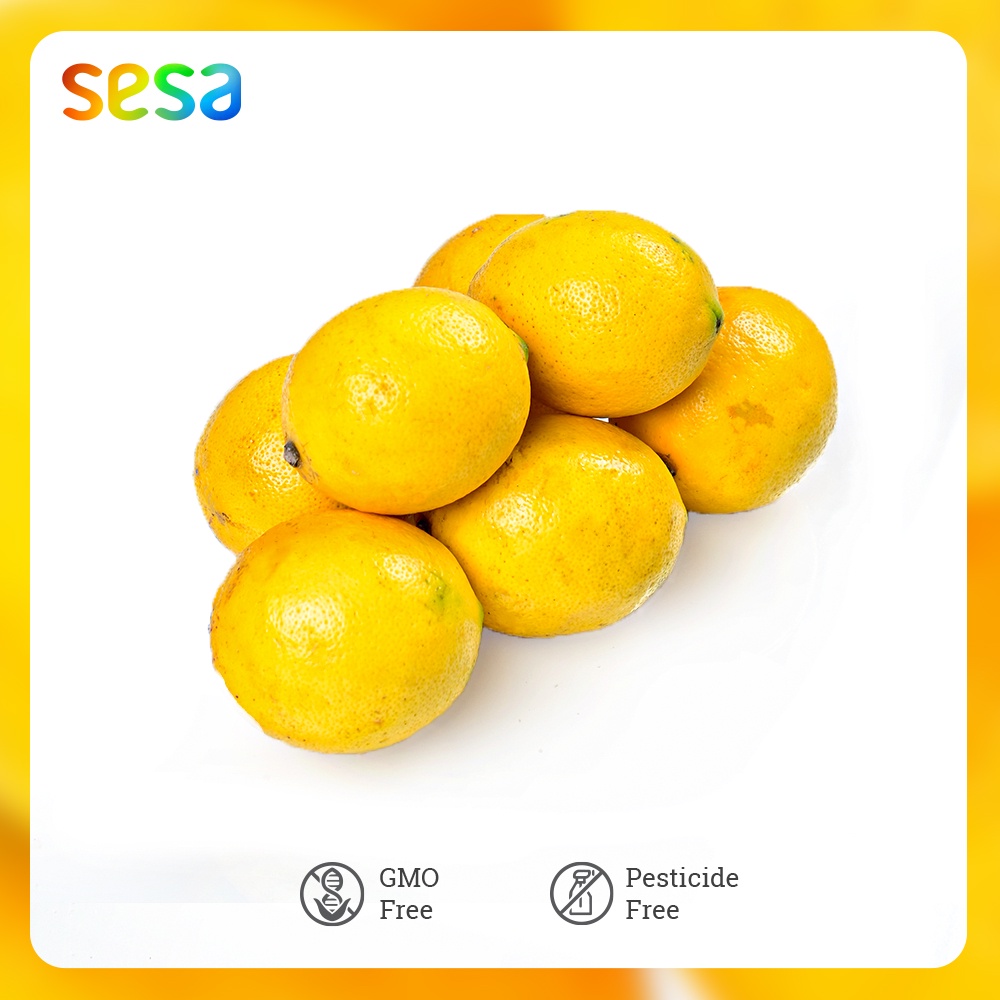 

Buah Lemon California 1 Kg