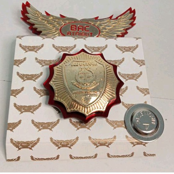 Pin Auditor jaksa Kejaksaan RI