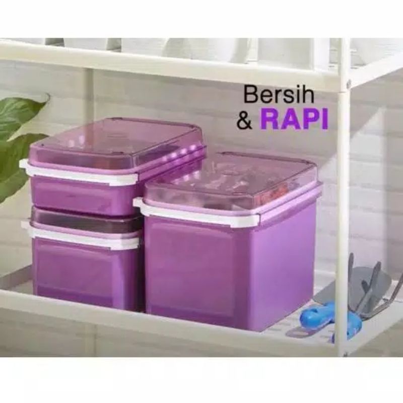 1 PC - Signature Rectangular Ungu Tupperware