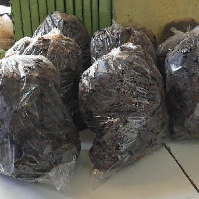

asem jawa tanpa biji 1kg / asem kowok