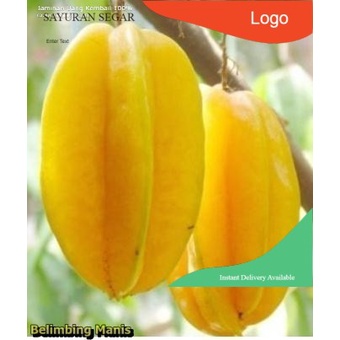 

buah belimbing segar 500 gram