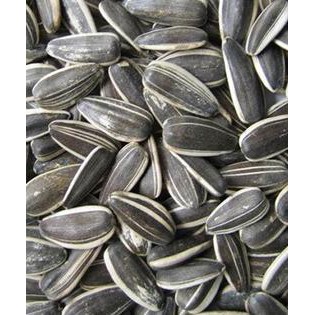 

╙ << Diskon Besar >> Kwaci Bunga Matahari 1 Kg | Kuaci REBO ✔