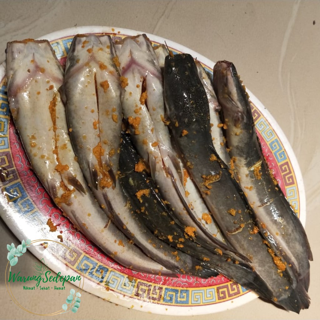 

Ikan Lele Bumbu Kuning Siap Goreng Ikan Marinasi Ikan Segar Sedang isi 3 ekor