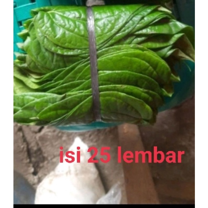 

daun sirih 1 ikat 25 lmbar