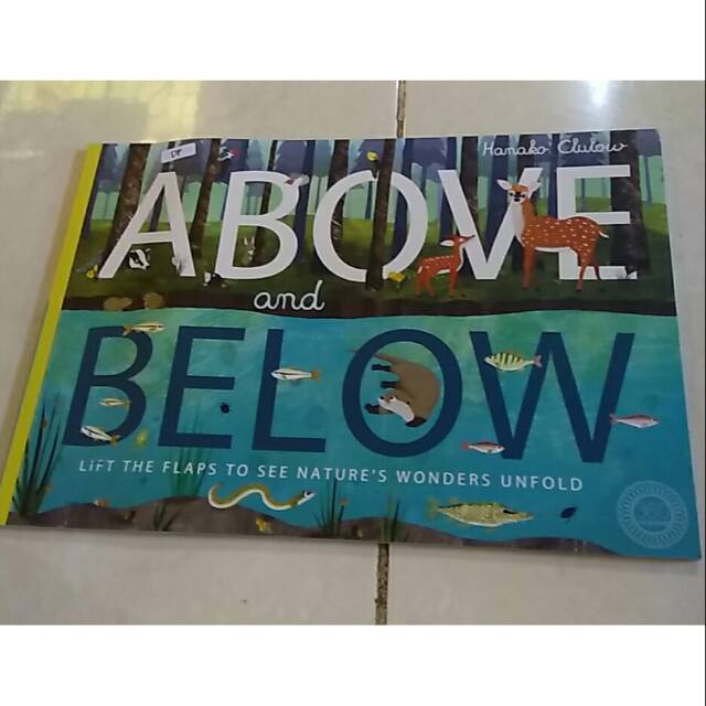 Buku anak import above below