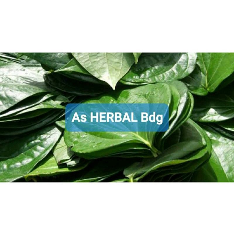 

Daun sirih hijau segar 100 gram petik langsung fresh-az
