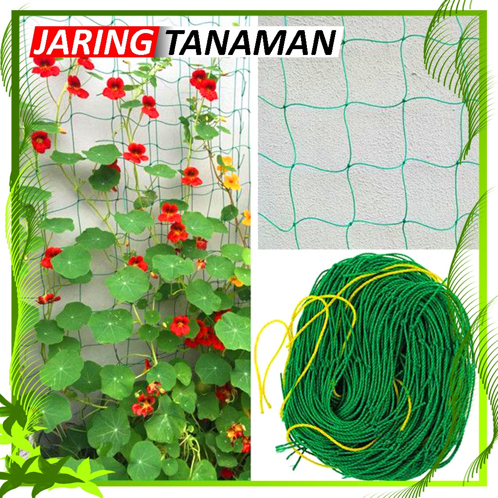 Climbing Net For Gardening / Vegetable Farm / Tali Nilon Penopang Tanaman / Jaring Tanaman Rambat