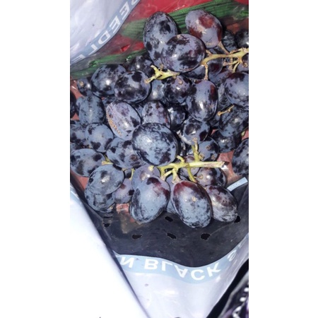 

Anggur Hitam tanpa biji (seedless)