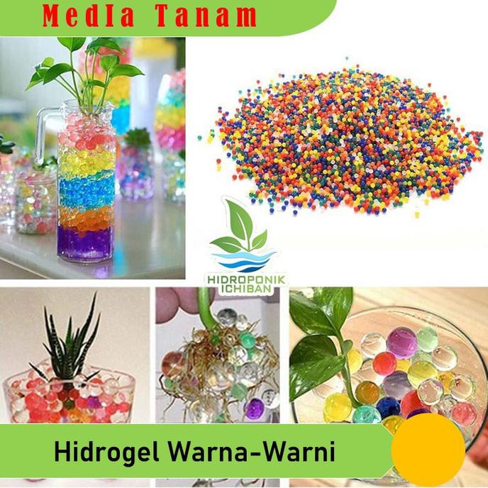 Murah Grosir Hydrogel Media Tanam Hidrogel Waterbead 5 Gram