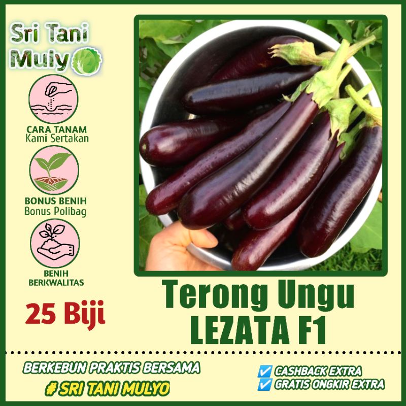 25 Biji - Benih Terong Ungu LEZATA F1 Cap Panah Merah - Bibit Sayuran - Benih Sayuran Paket Lengkap 