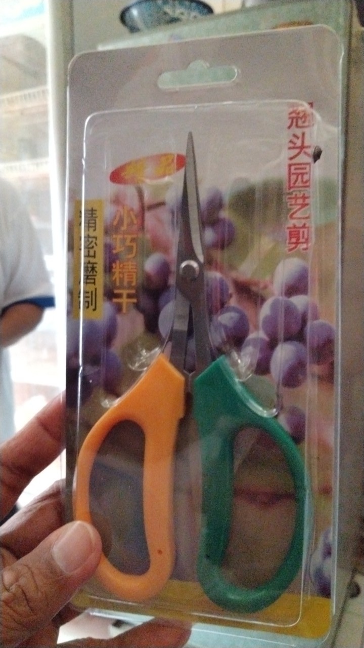 Gunting Bonsai Pruning Daun Akar 2 Warna Murah