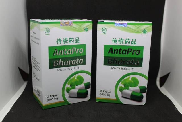 Antapro Bharata obat herbal stroke- Obat Kolestrol- Herbal Alami-1