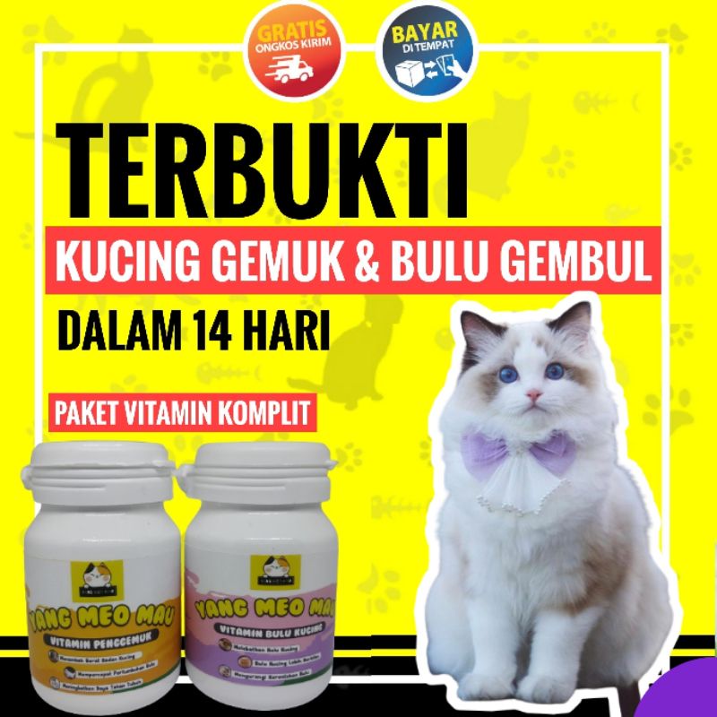 vitamin kucing / gemuk dan bulu / penambah nafsu makan /bulu rontok / bulu gembul