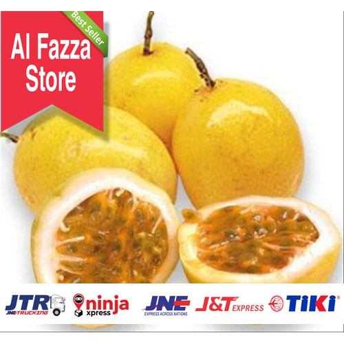 

Markisa/markusa segar kuning matang al fazza store 500 gram