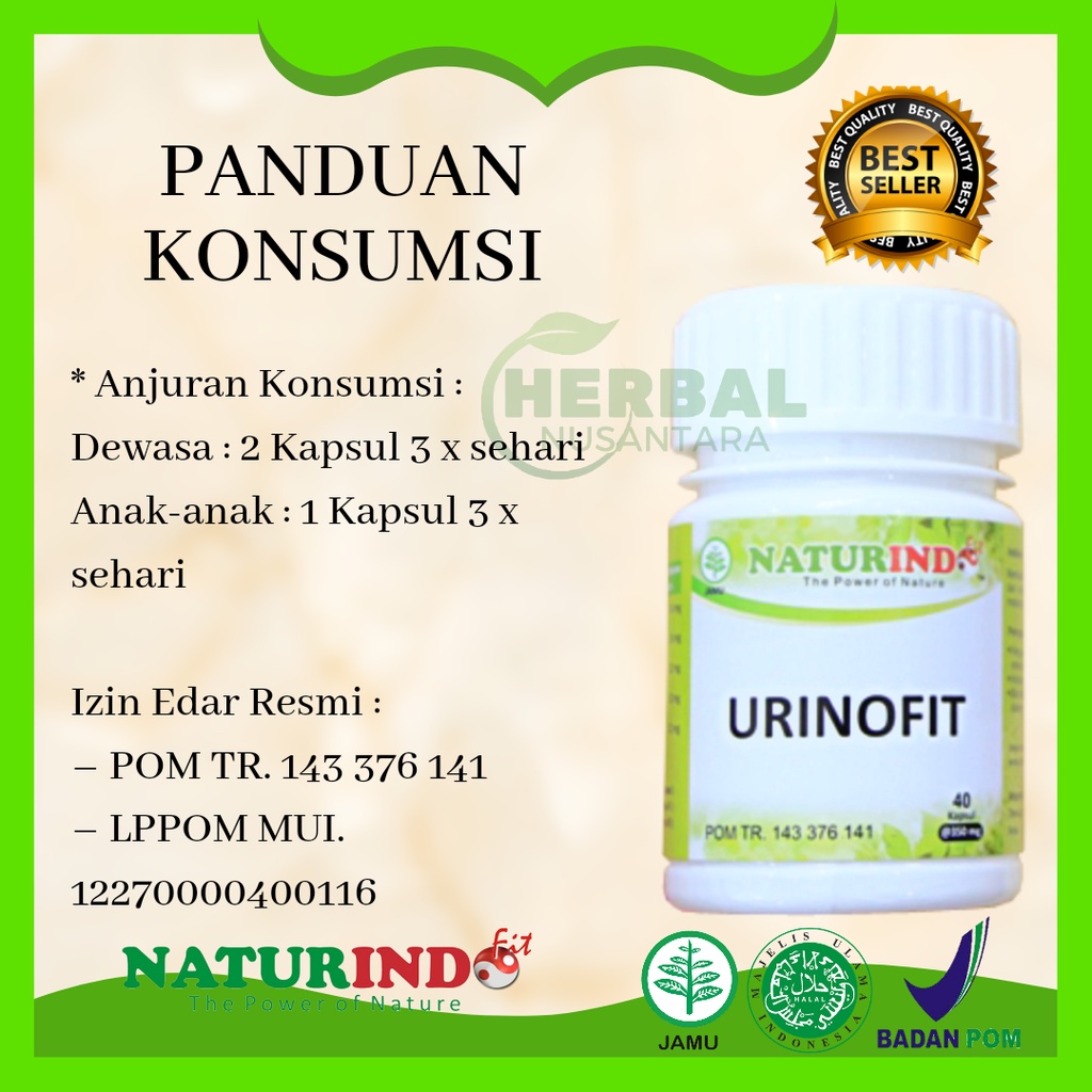 Image of Obat Kencing Batu Ginjal Yang Ampuh Tanpa Operasi Dan pinggang Sakit Herbal Bpom #4