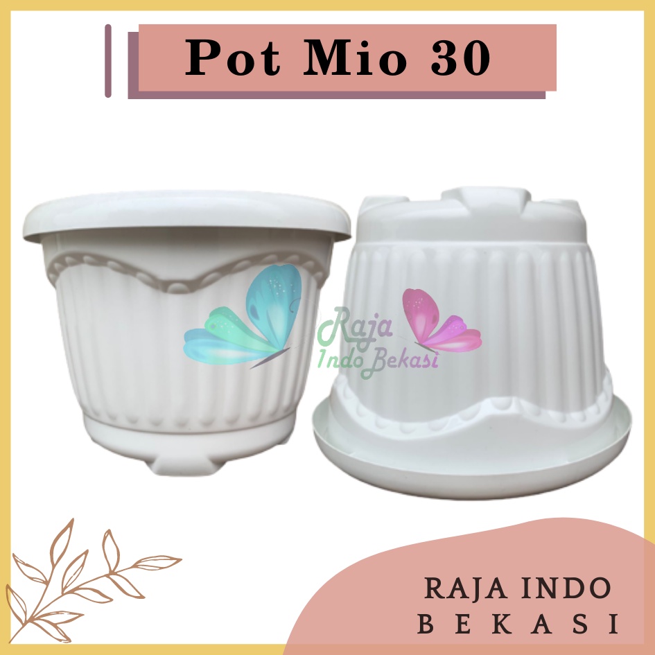 Pot Shallom Mio 30 Putih Pot Bunga Plastik Tebal Murah Besar Kuat Motif Model Belimbing 30 cm Putih Hitam Selusin Lusinan Tebal - SHALLOM MIO 30 pot bunga bulat besar tebal murah