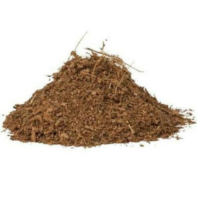 cocopeat media tanam media tetas telur reptil